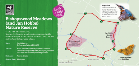 bishopswood meadows yarty marshy